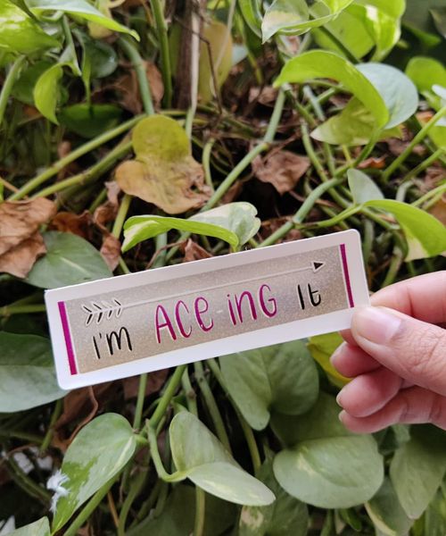 I am Ace-ing it sticker